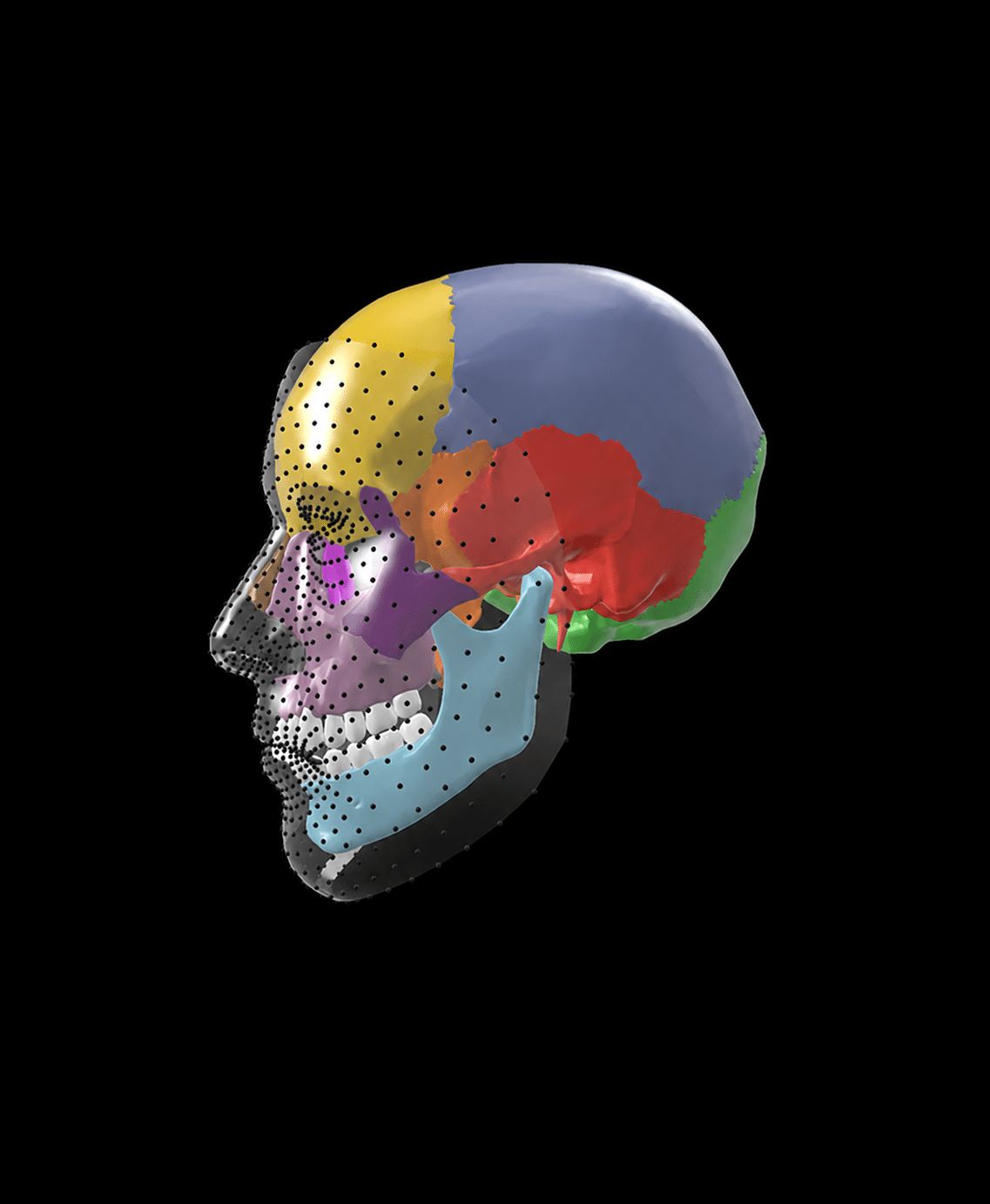 Centered multicolored skull on black